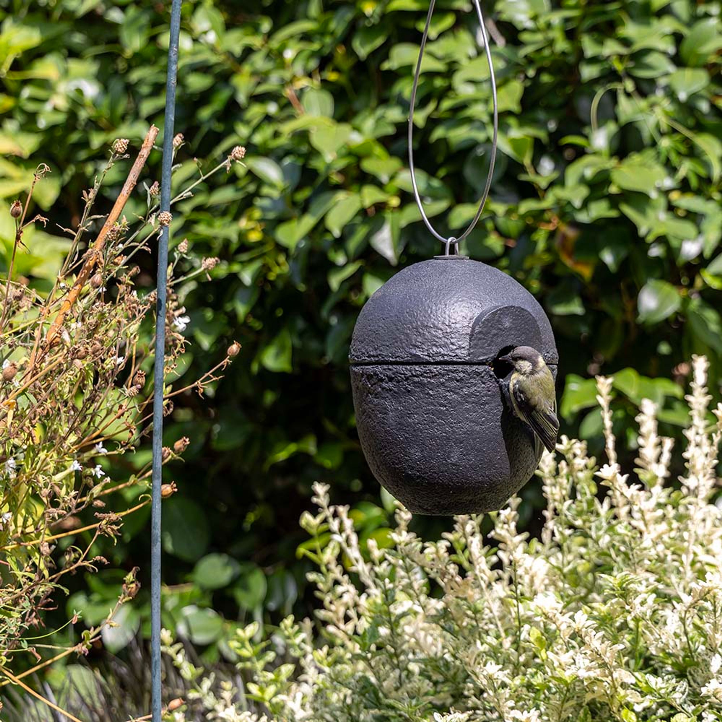 WoodStone-Nistkasten „Malaga“ 28 mm schwarz | Vogelhaus Holzbeton | CJ Wildlife